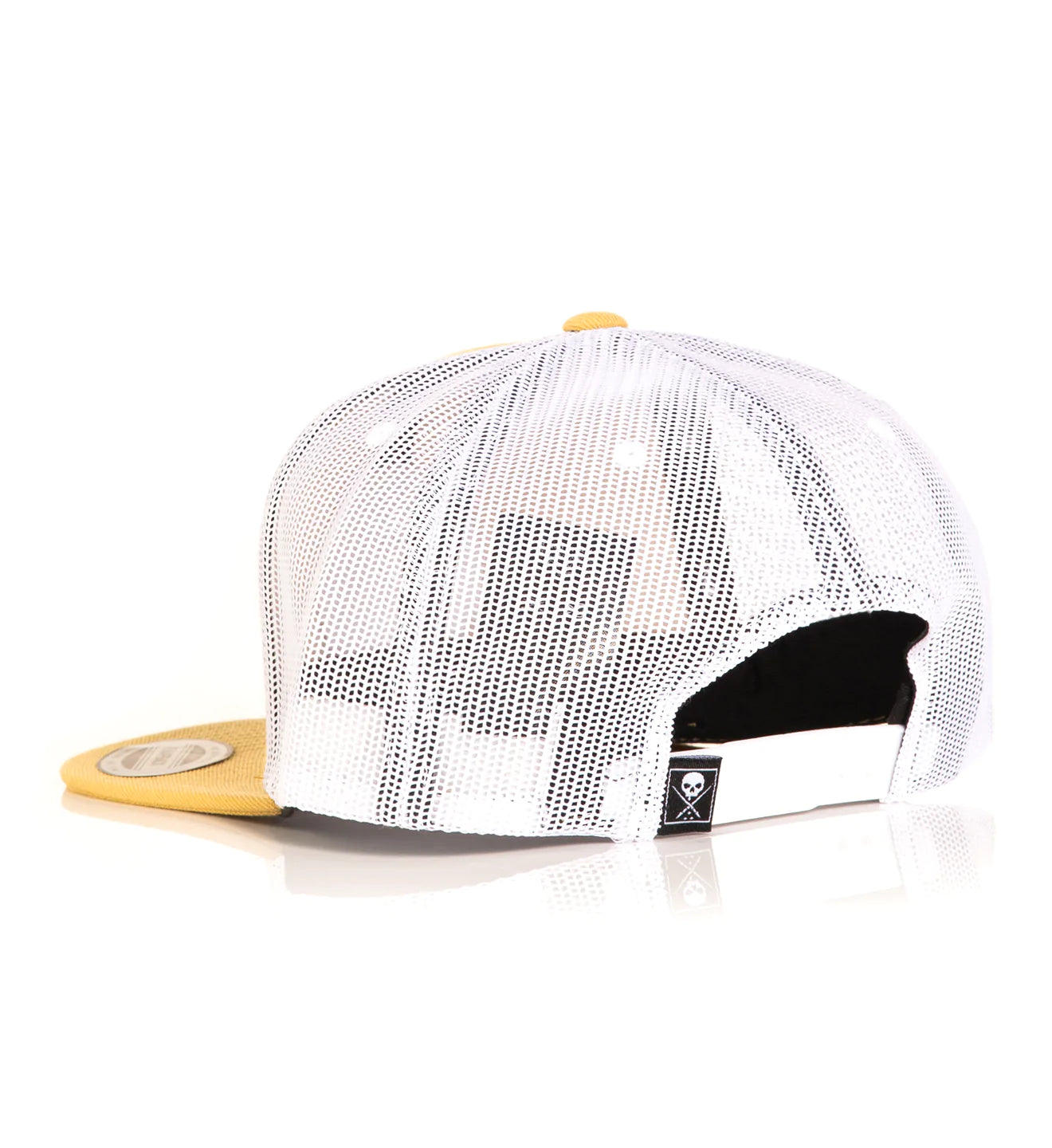 LASTING CURRY SNAPBACK